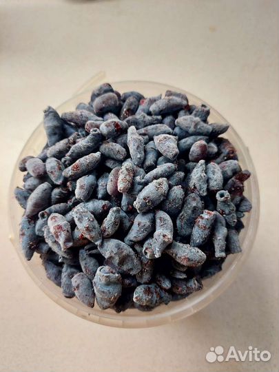 Жимолость замороженная