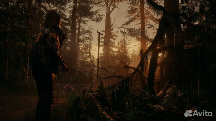 Alan Wake 2 Deluxe edition PS5