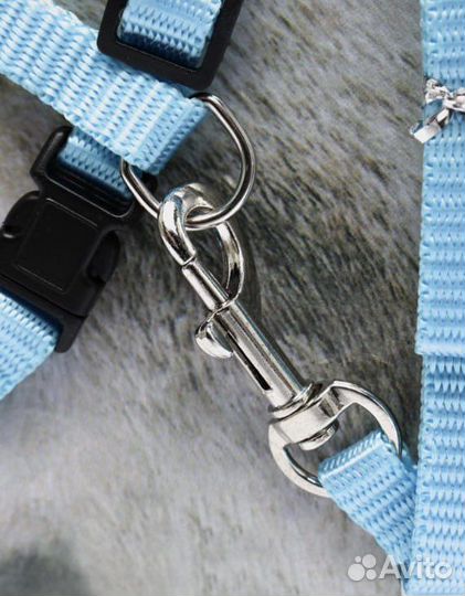 Поводок для кошек