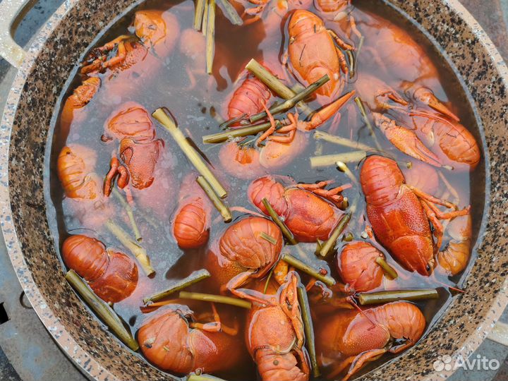 Раки Живые и Варёные