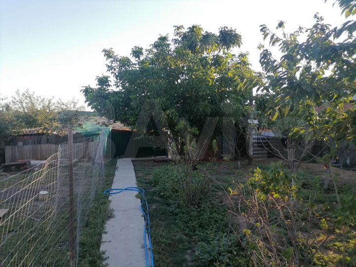 Участок 60 га (ИЖС)