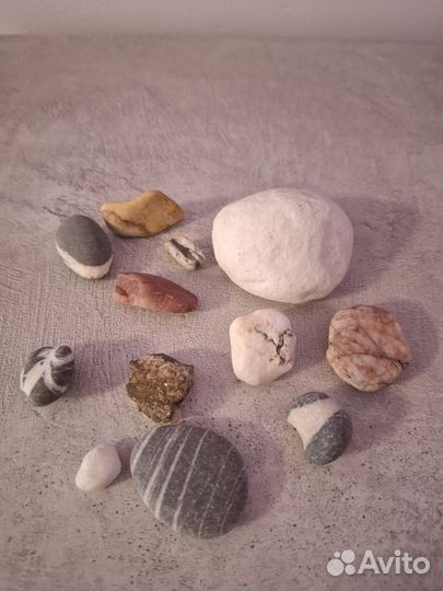 Морские ракушки раковины, камни для декора