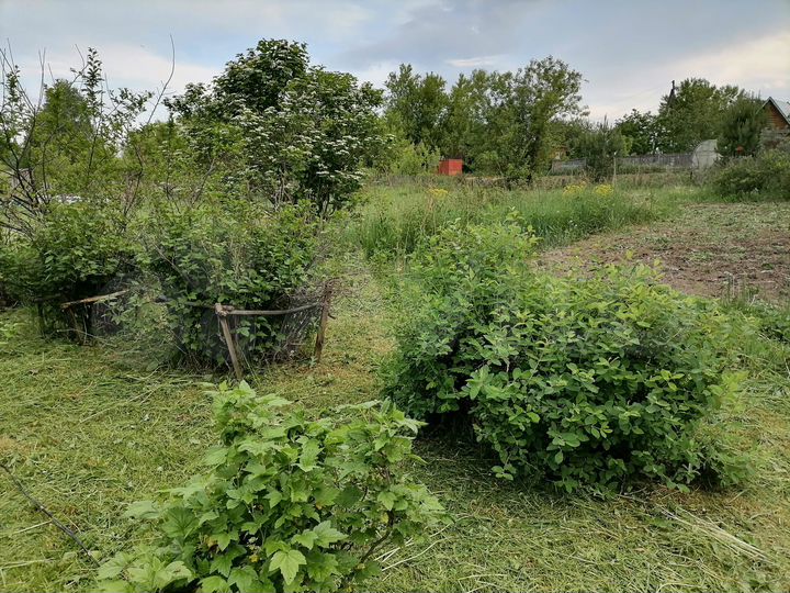 Дача 14 м² на участке 12 сот.