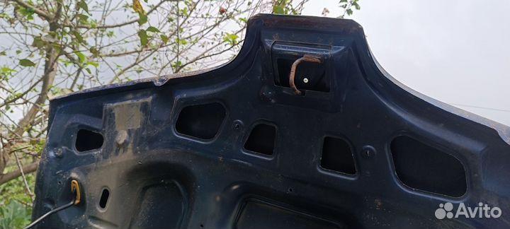 Капот Рено Сценик