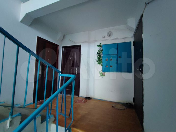 2-к. квартира, 48,5 м², 1/2 эт.