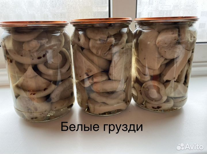 Грибы