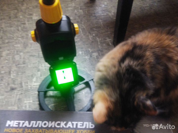 Металлоискатель