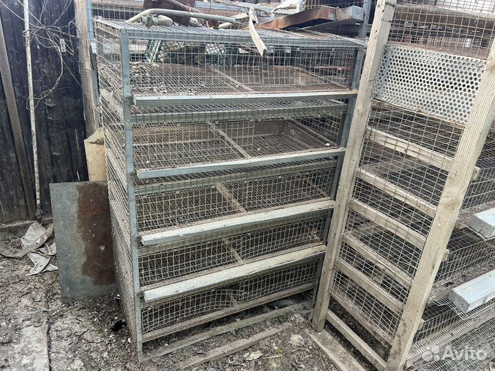 Сетка для перепелов