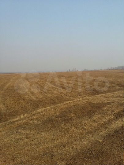 Участок 559 га (СНТ, ДНП)