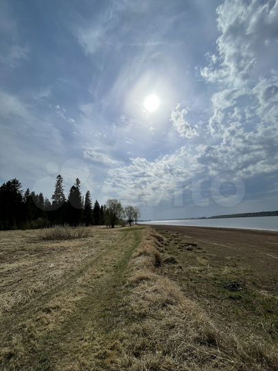 Участок 50 сот. (ИЖС)