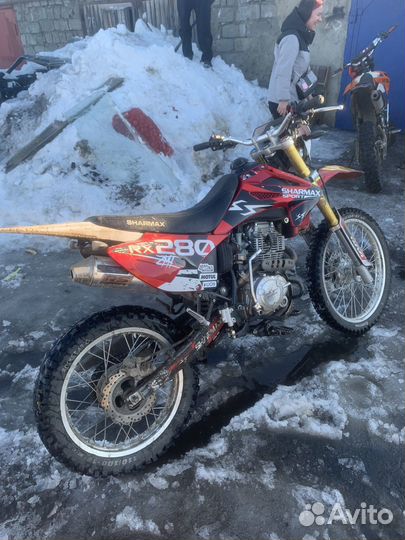 Sharmax RX280 sport
