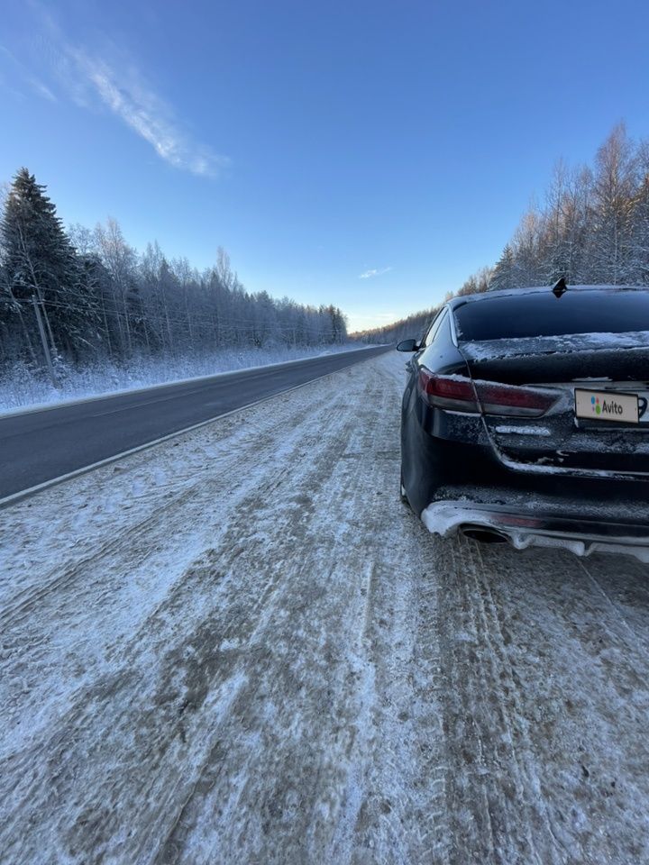 Kia Optima: фото владельца