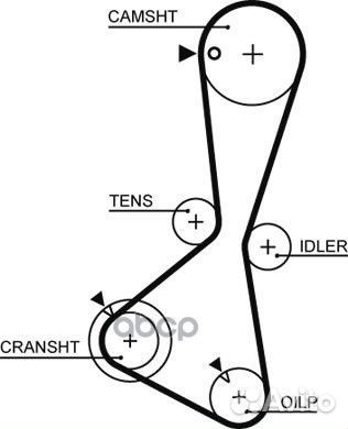 Ремень грм mitsubishi space gear 2.4L 1995 12