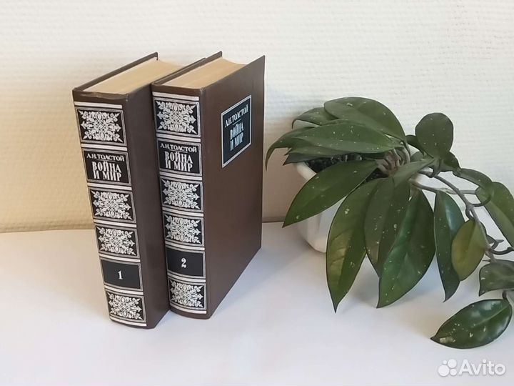 Лев Толстой Война и мир роман в 2 томах