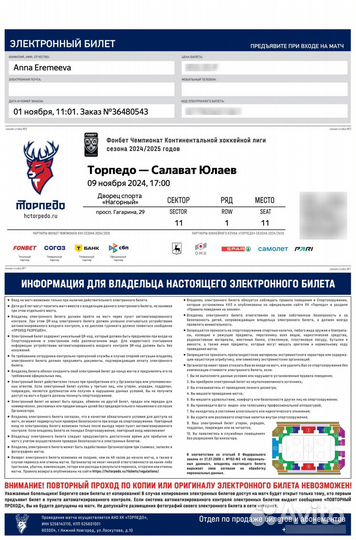 Билет на игру Торпедо — Салават Юлаев