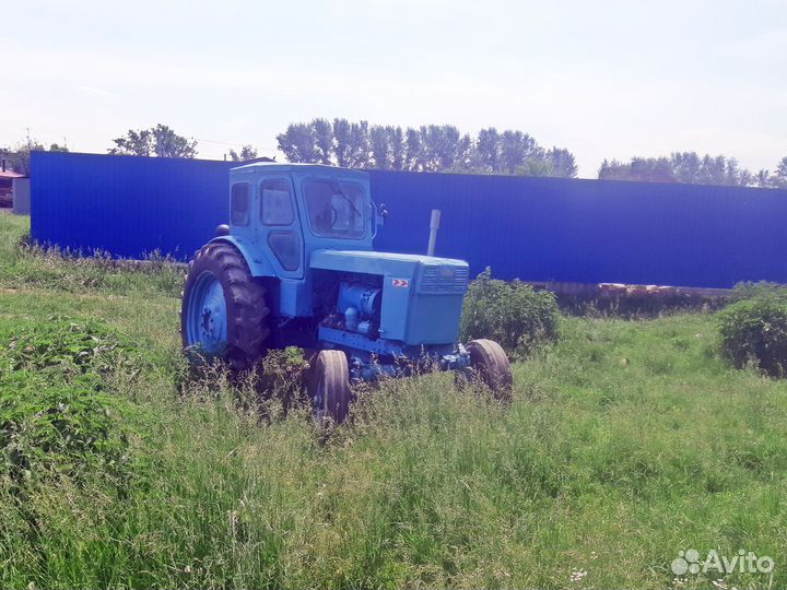 Трактор ЛТЗ Т-40, 1981