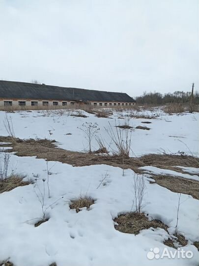 Комплекс зданий под разбор, Сычевский район