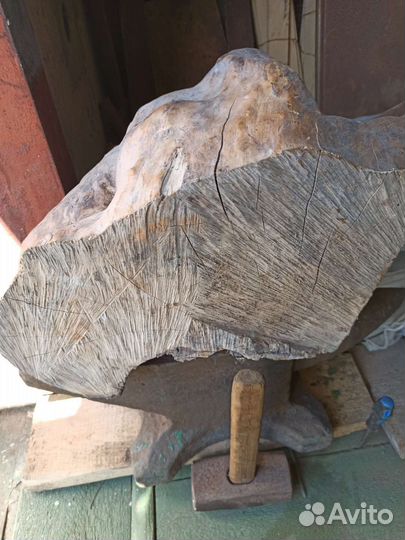 Сувель березовый