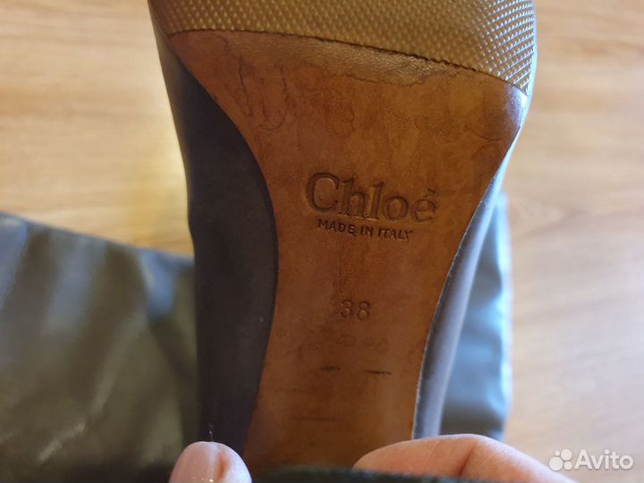 Сапоги chloe оригинал