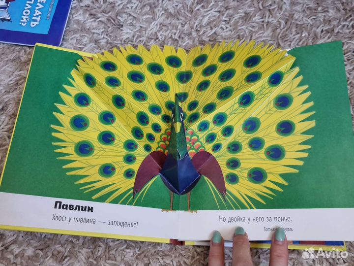 Книга