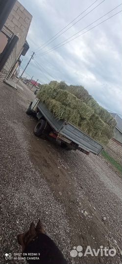 Люцерка,сено разнотравье