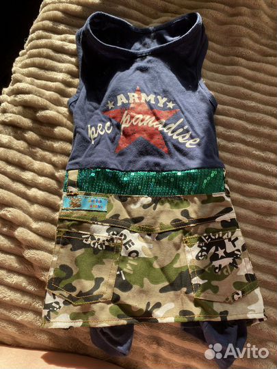 Одежда для собак