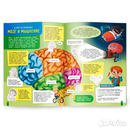 Мой первый атлас. Тело человека (с наклейками)