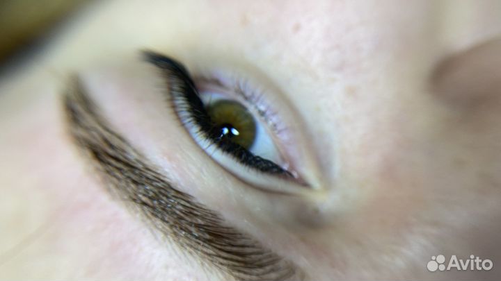 Ресницы,брови дагомыс(за 1,5 часа) (обучение)