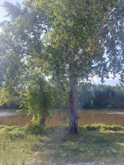 Дом 65 м² на участке 11 сот.