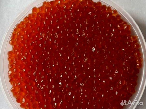 Красная икра лососевых