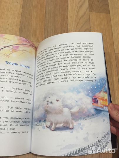 Зимние сказки Белый, пушистый, ничей