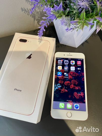iPhone 8 Plus, 64 ГБ
