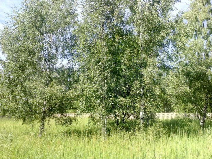 Коттедж 133 м² на участке 17 сот.