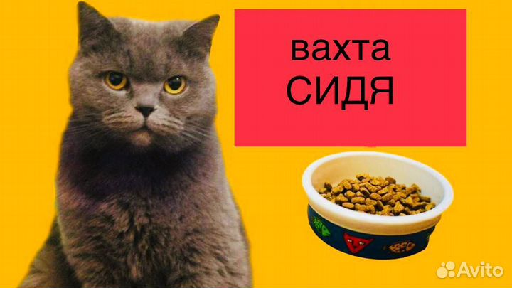 Упаковщик/ца сидя в Тульской области