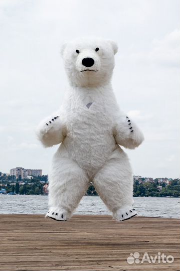 Поздравление от Белого Мишки