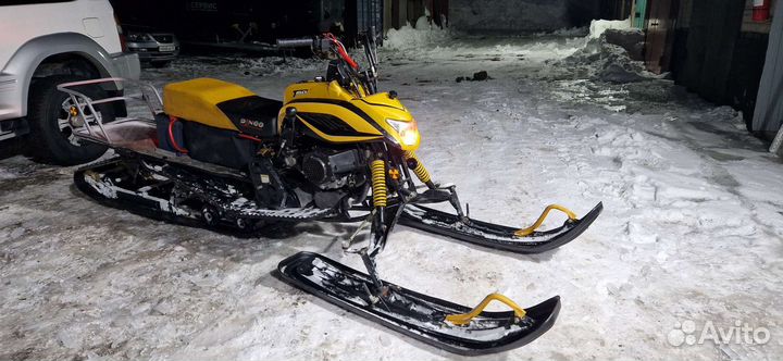 Dingo t150