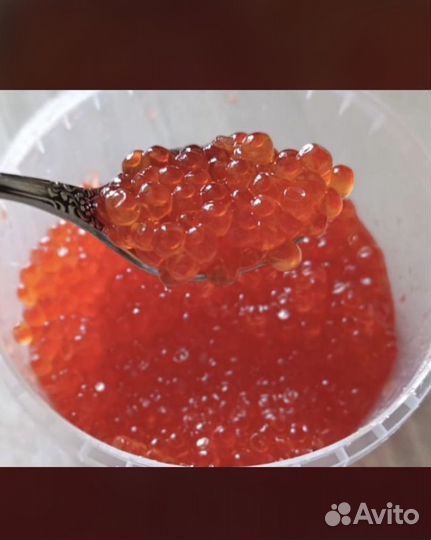 Икра кеты 2024 сахалин