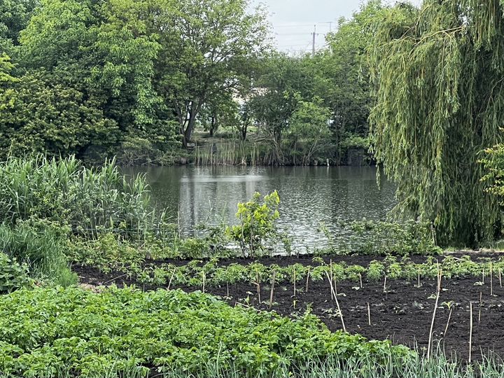 Дом 47,1 м² на участке 25 сот.