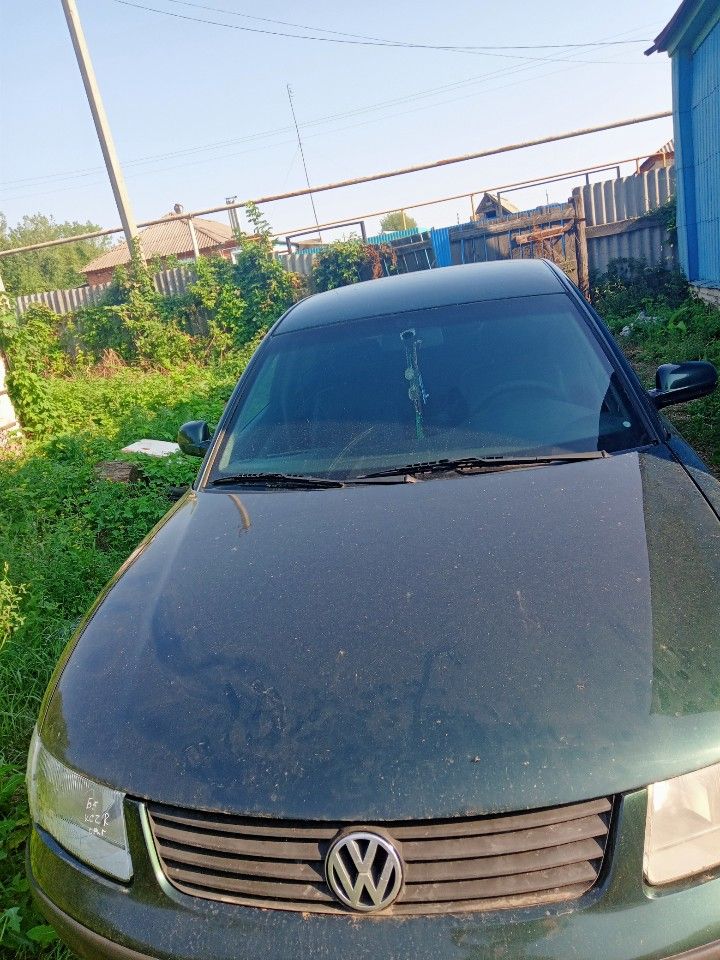 Volkswagen Passat: фото владельца