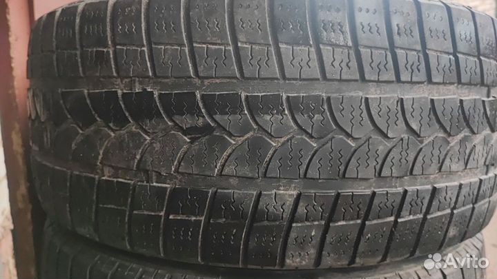 Tigar Winter 1 205/55 R16