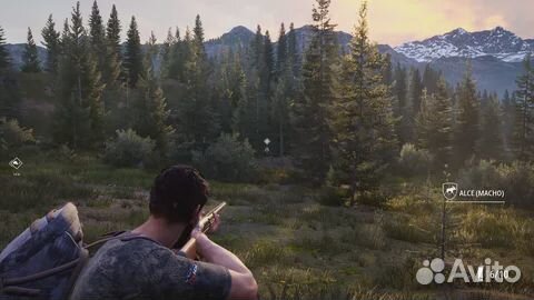 Hunting Simulator 2 PS4/PS5 на русском