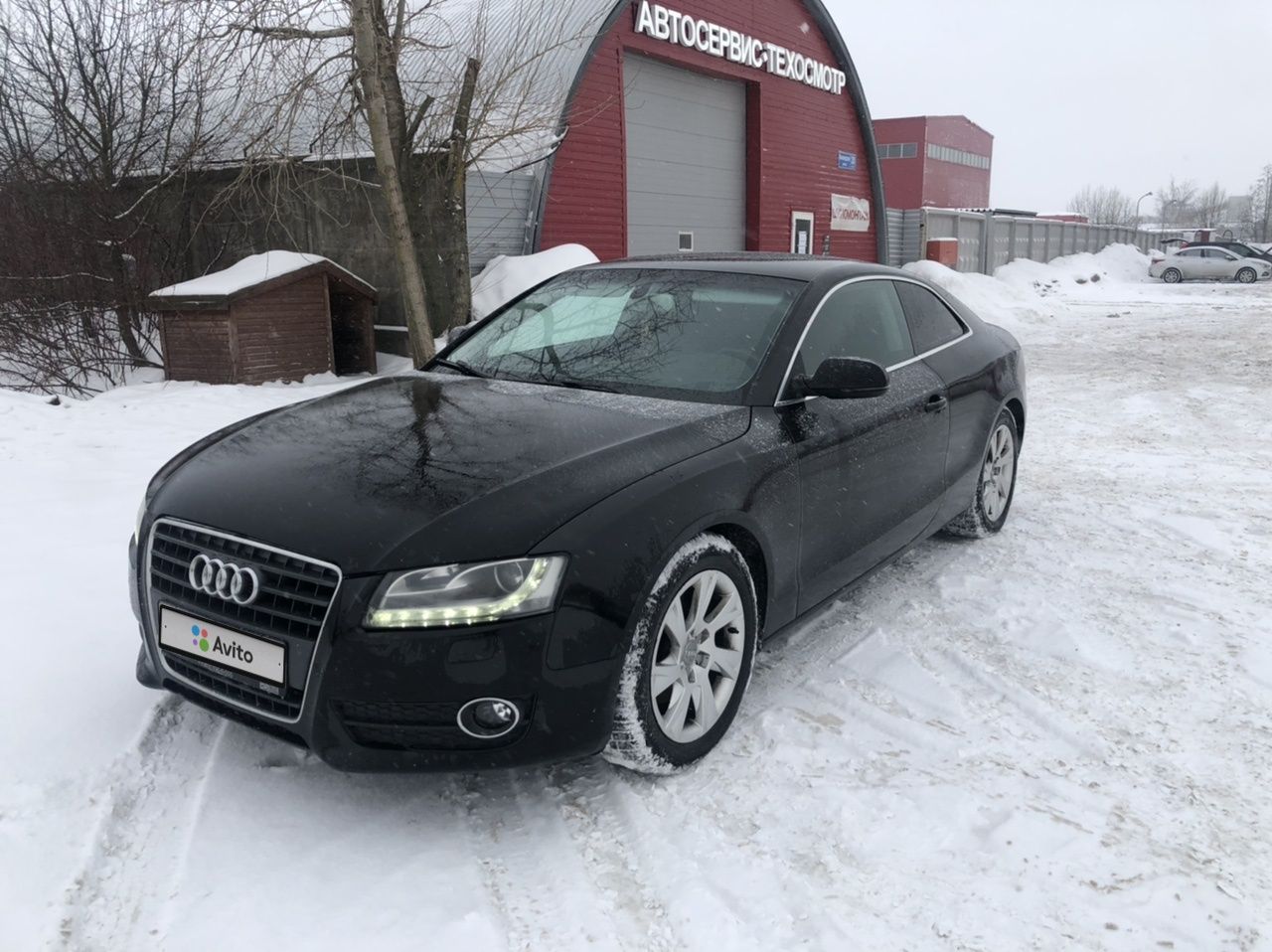 Audi A5: фото владельца