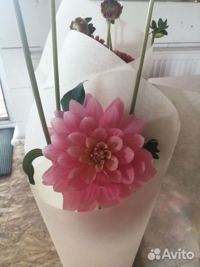 Цветы на срезку в букеты