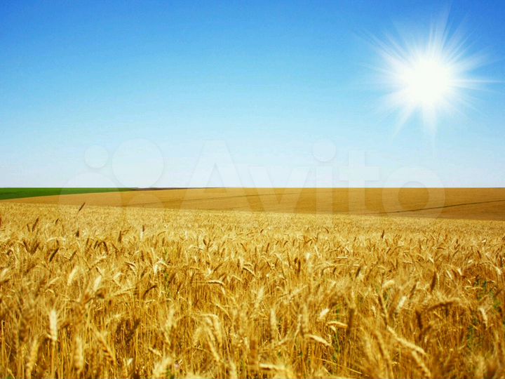 Участок 16 га (СНТ, ДНП)