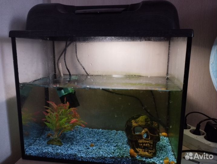 Аквариум