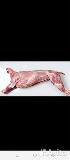 Мясо баранина