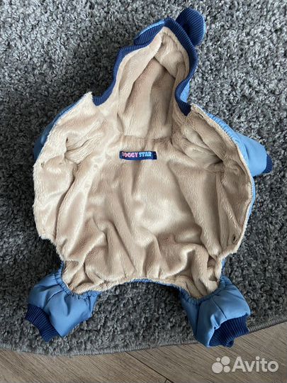 Одежда для собак