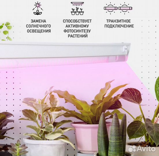 Фитолампа для растений