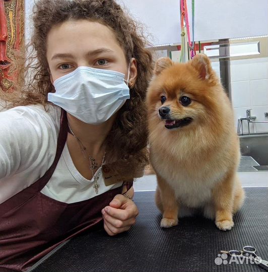 Стрижка собак и кошек - Умка Зооцентр