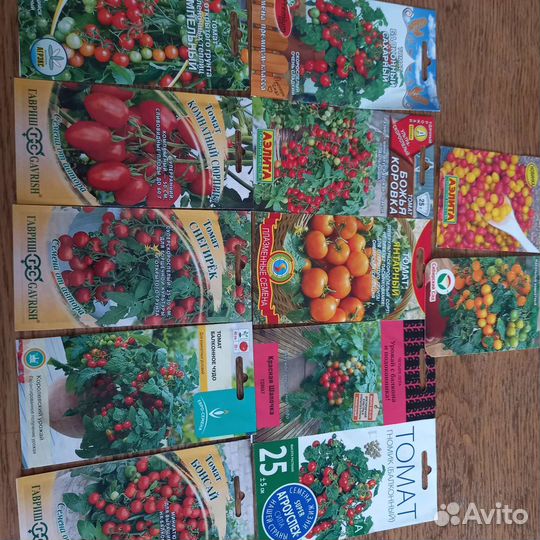 Рассада томат, перец, помидор, баклажан и др